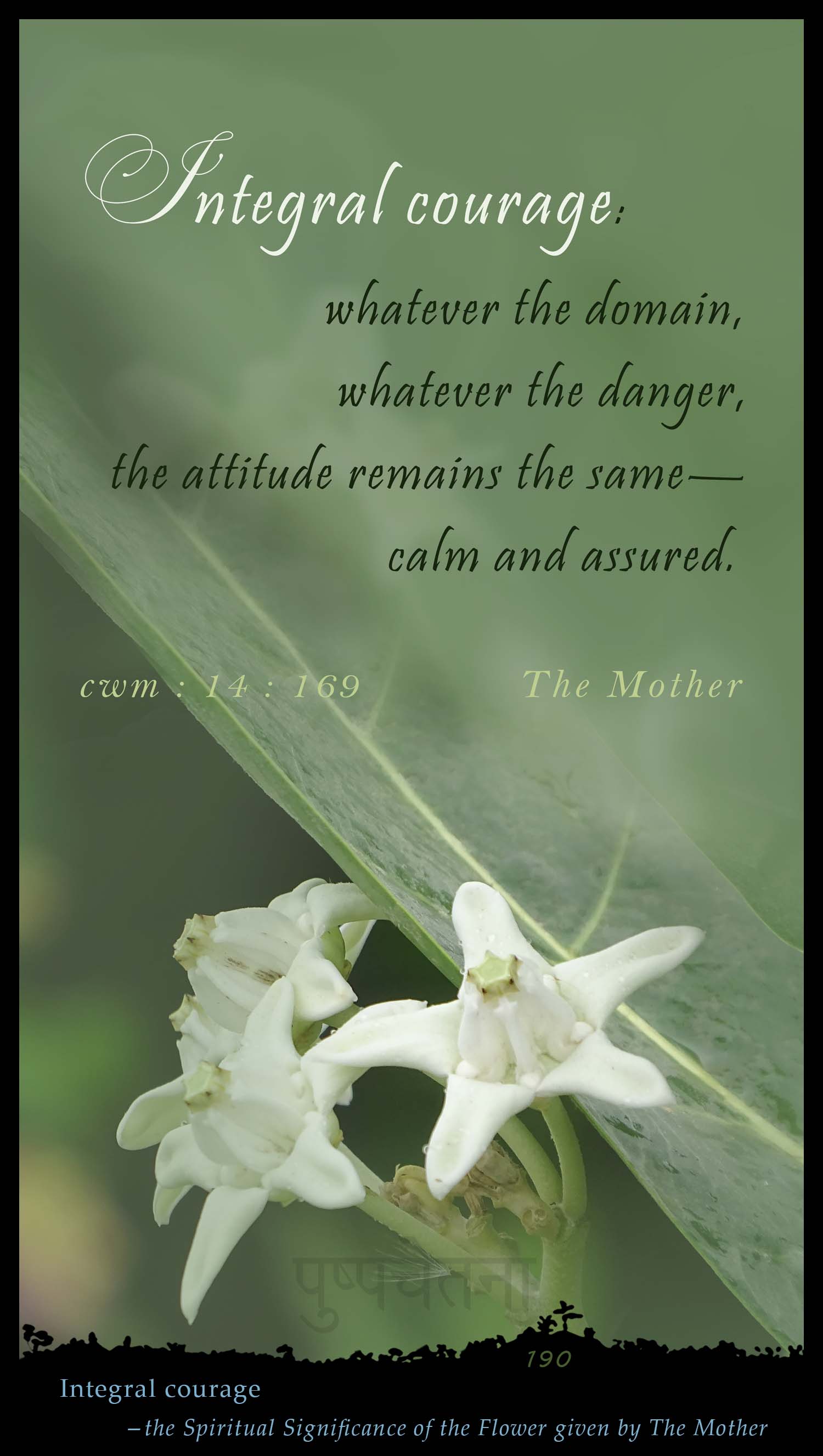 Integral Courage